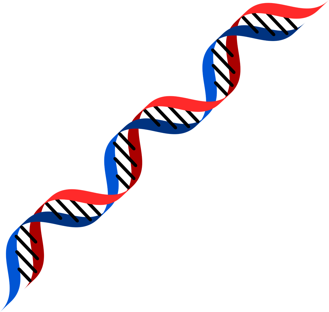 Dna イラスト詳細 5位
