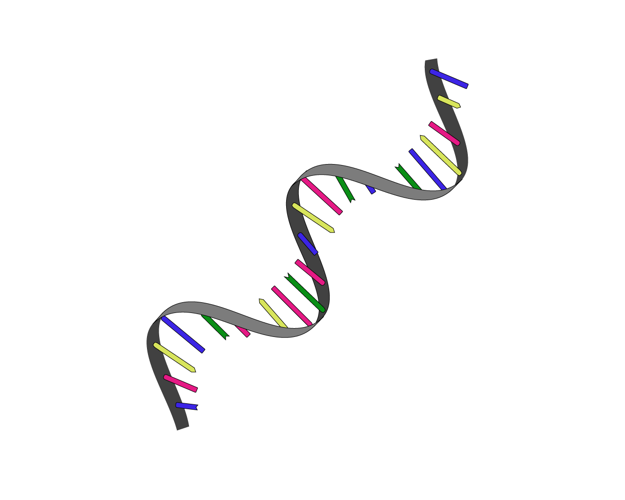 Dna イラスト詳細 7位