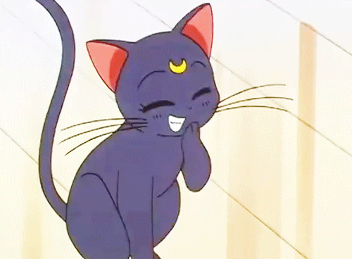 Gif 素材詳細 11位