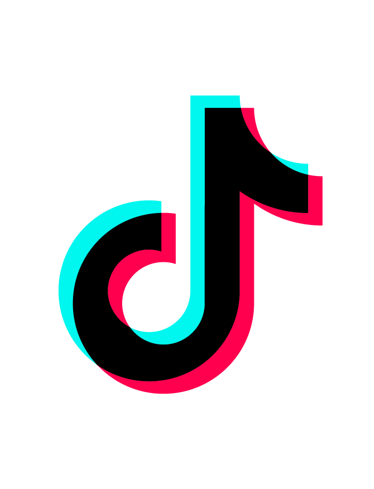 Tiktok アイコン詳細 14位