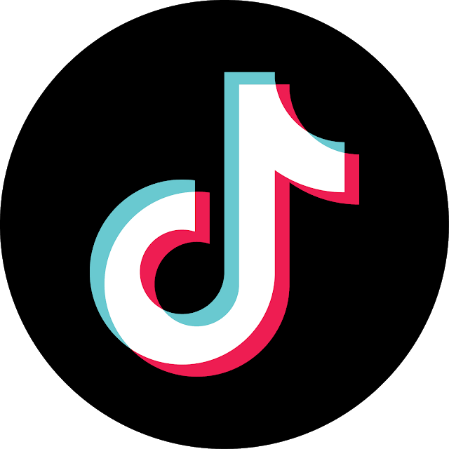 Tiktok アイコン詳細 15位