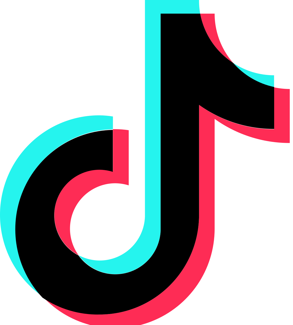 Tiktok 素材詳細 10位
