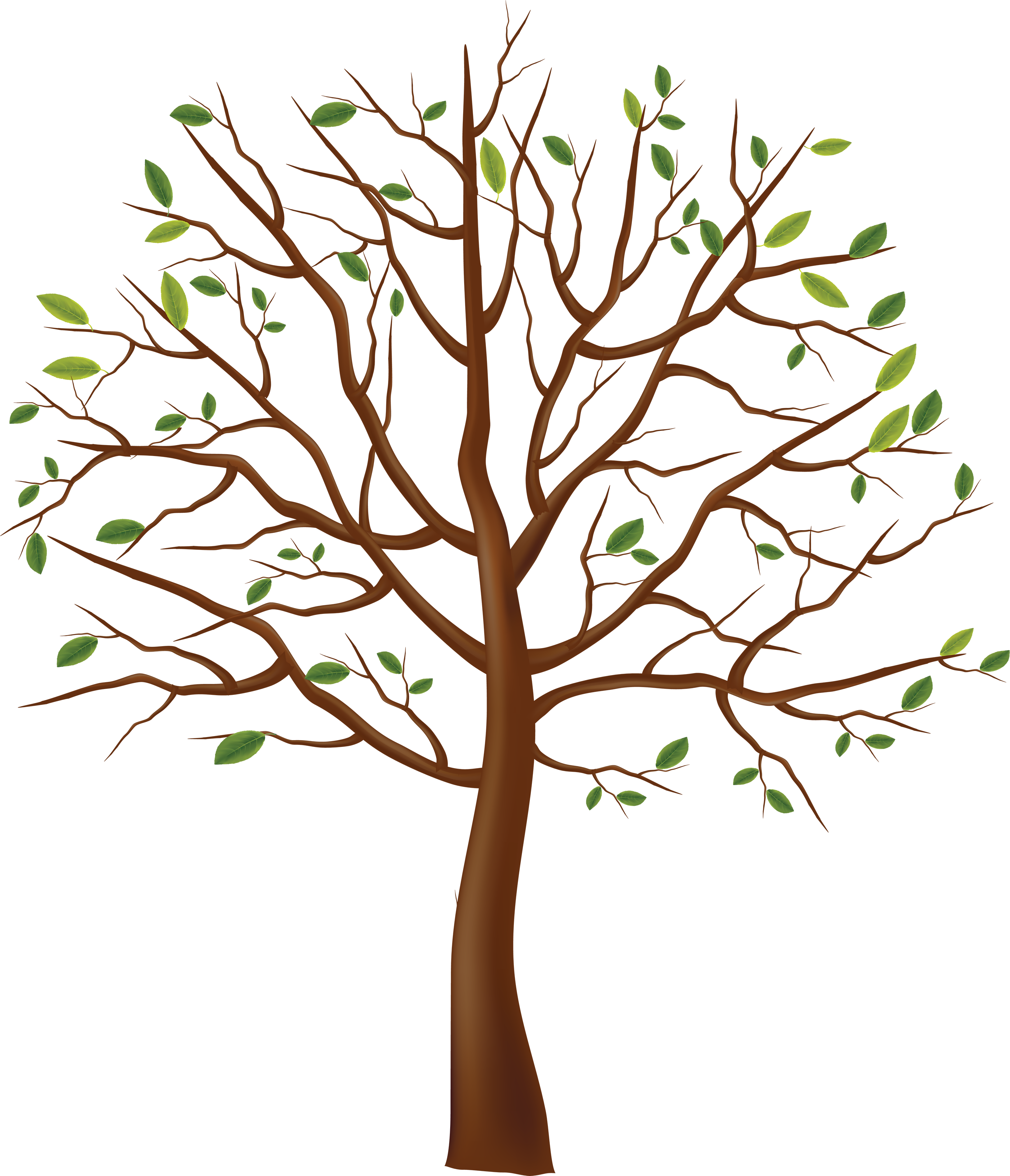 Tree 意味詳細 12位