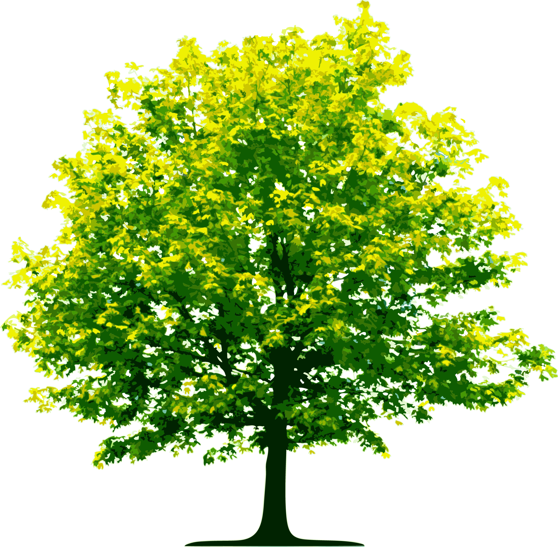 Tree 意味詳細 2位