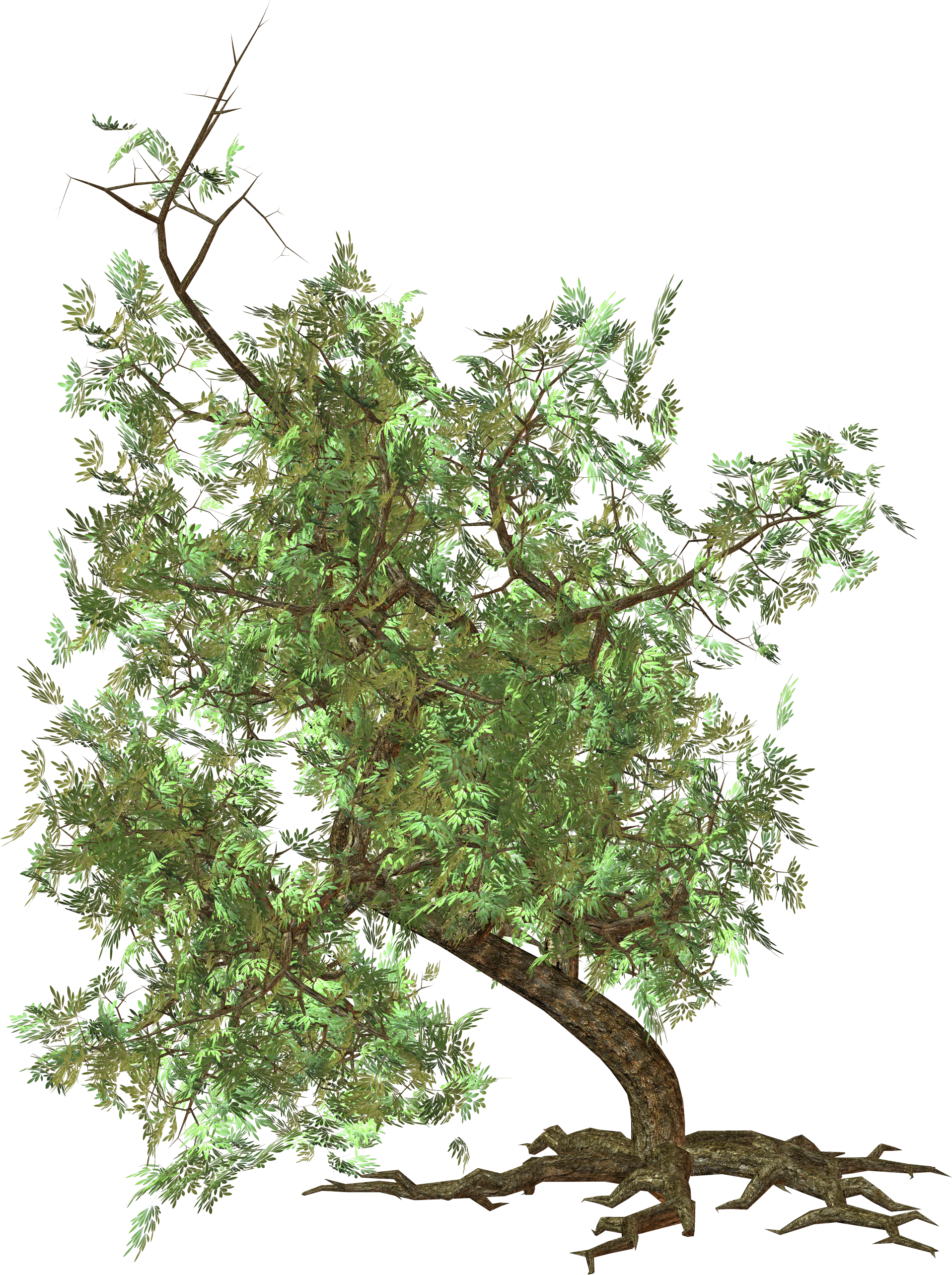 Tree 意味詳細 8位