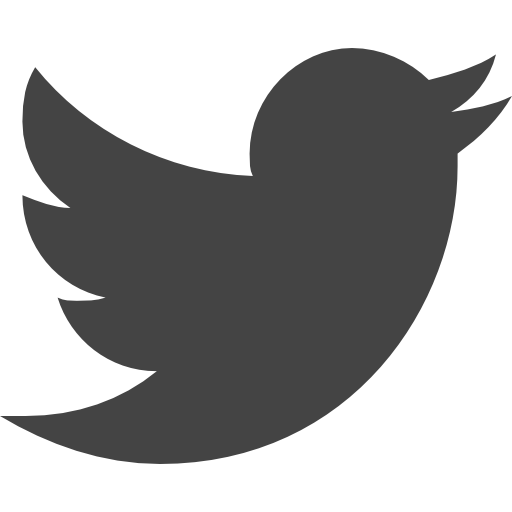 Twitter アイコン 白 - KibrisPDR