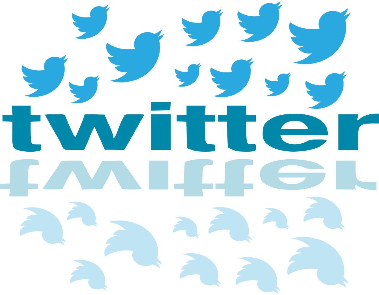 Twitter 白黒詳細 13位