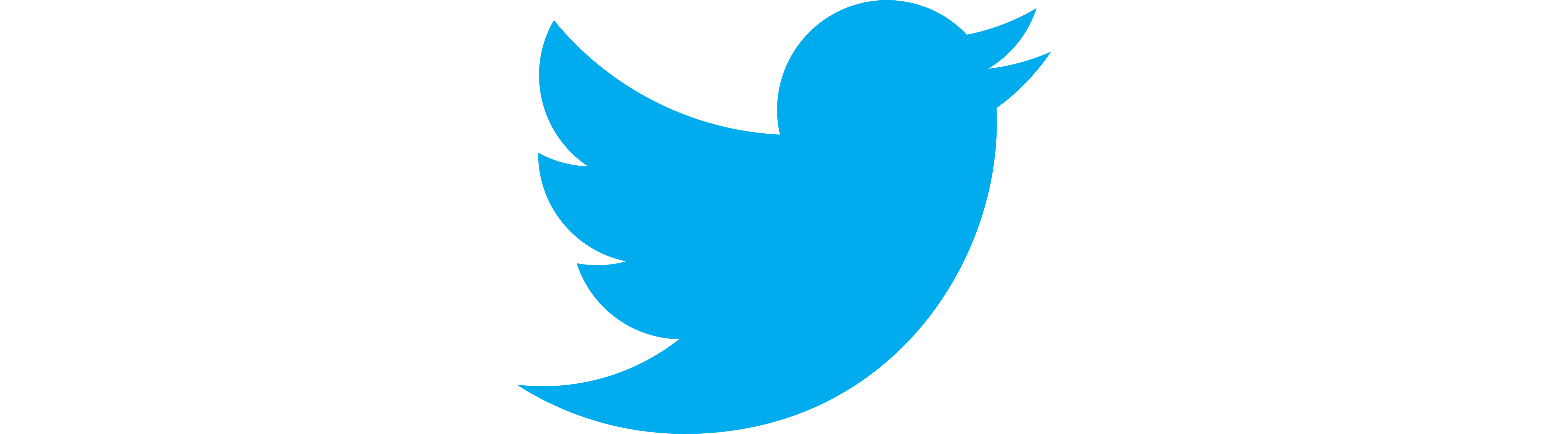 Twitter 背景 透過詳細 11位