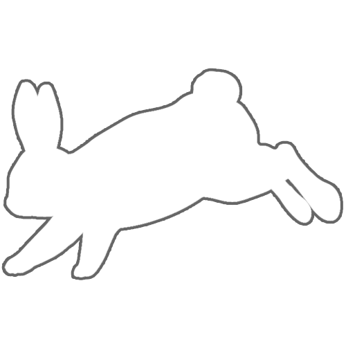 うさぎ ジャンプ イラスト詳細 13位