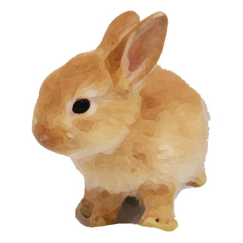 うさぎ 写真 かわいい詳細 6位