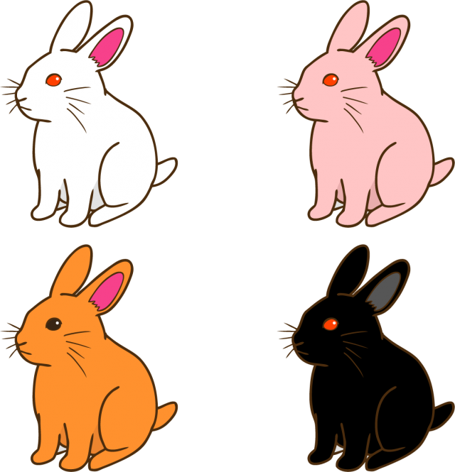 うさぎ 素材詳細 9位
