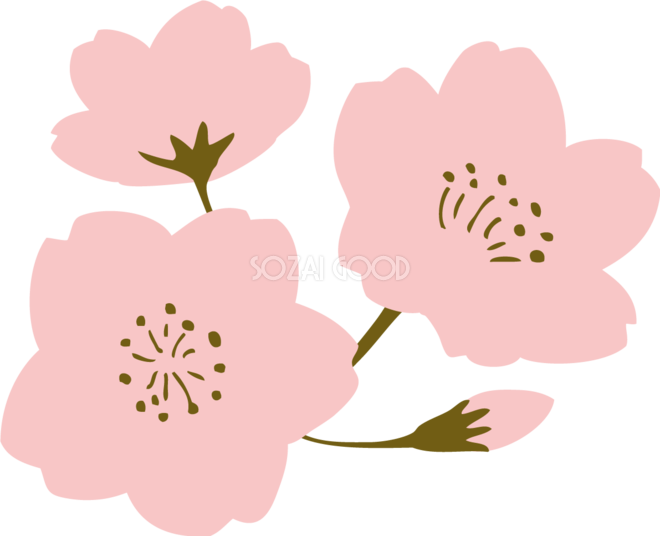 おしゃれ 桜 イラスト詳細 11位