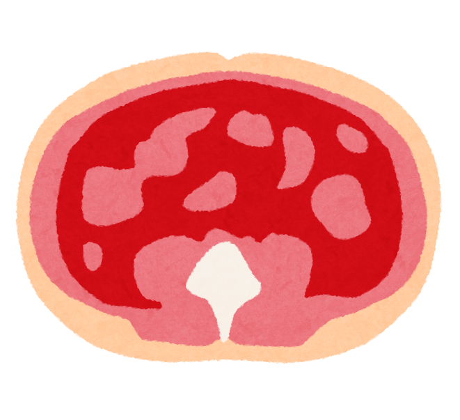お腹 イラスト詳細 10位