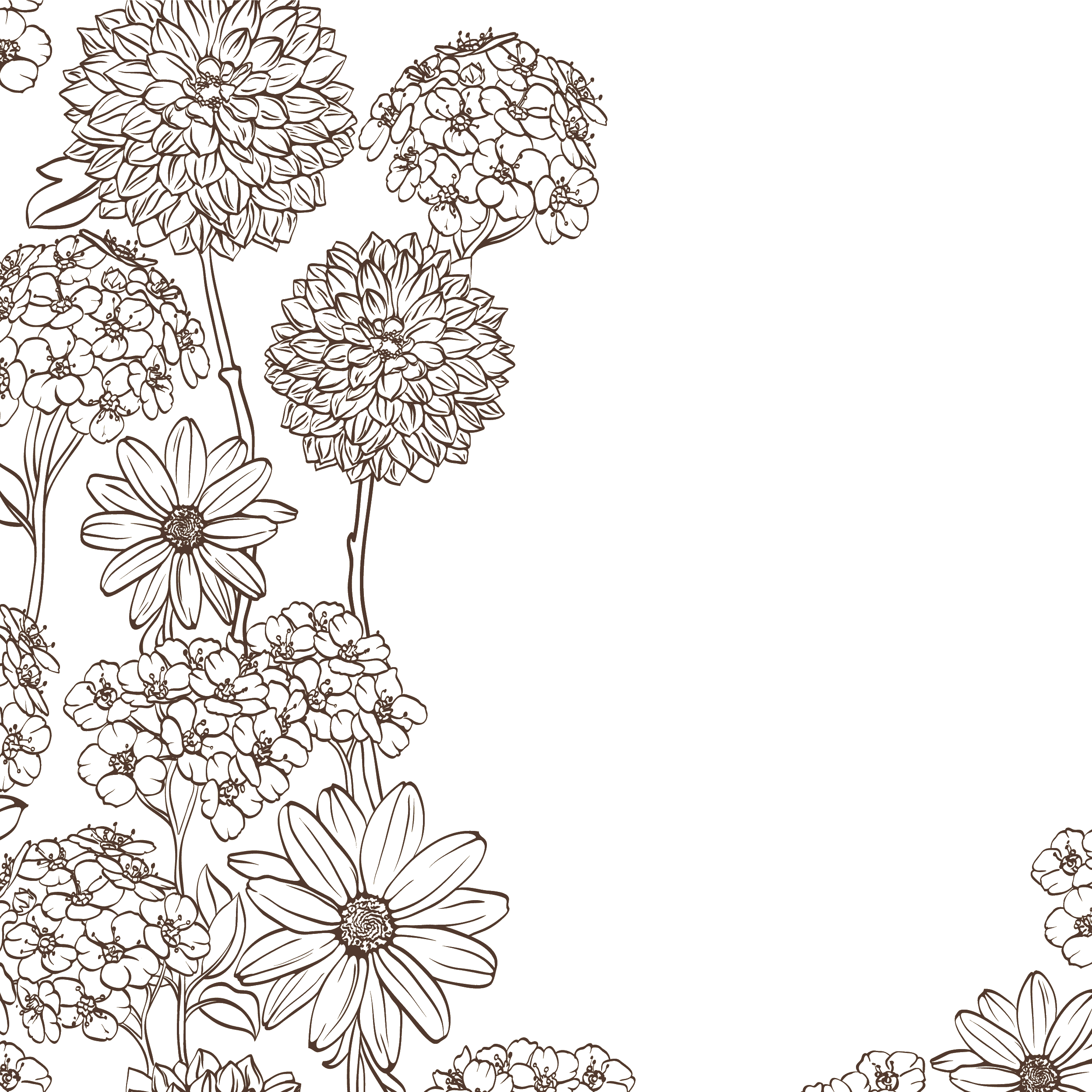 お花 手書き イラスト - KibrisPDR