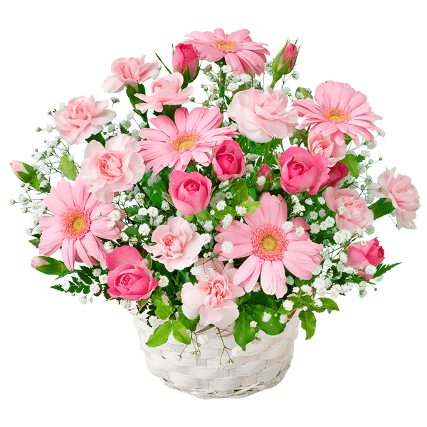 お花 画像詳細 6位