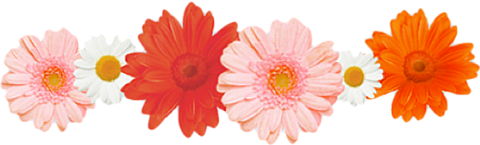 お花 画像詳細 10位