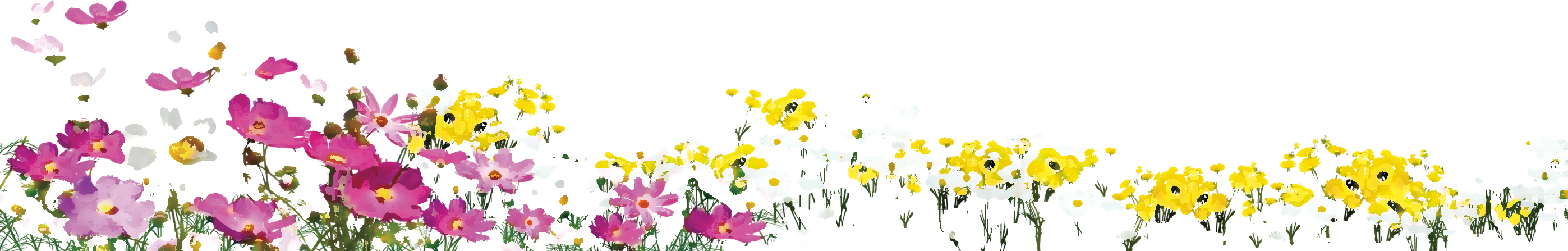 お花畑 フリー 素材詳細 5位