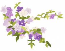 かすみ 草 イラスト フリー詳細 9位