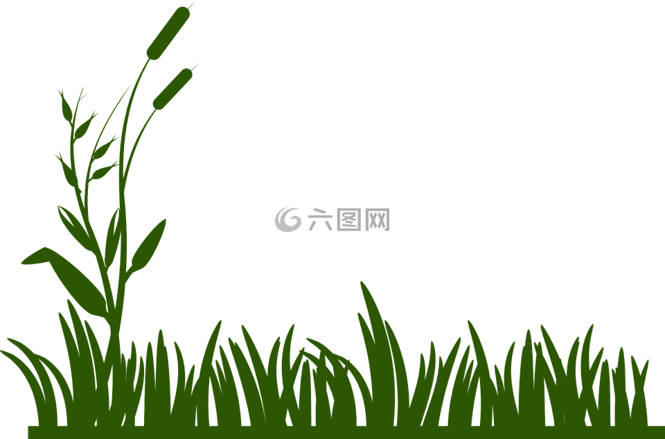 かすみ 草 背景詳細 11位