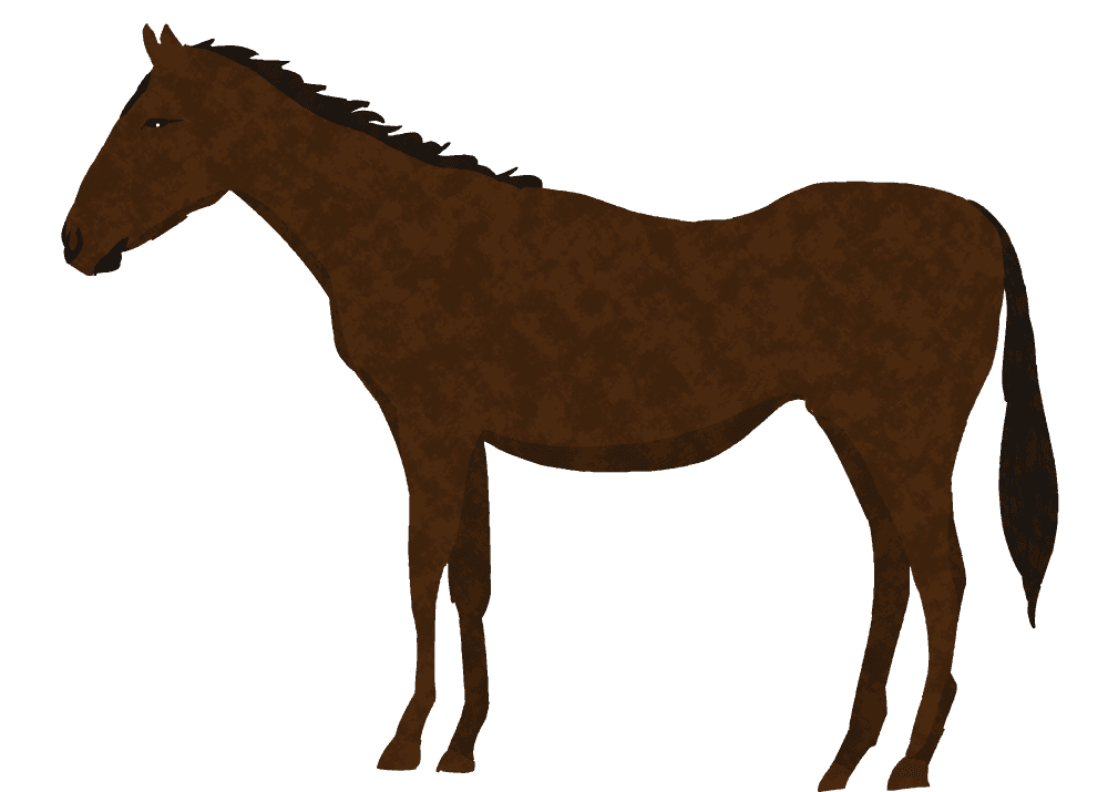 かっこいい カッコイイ 馬 イラスト - KibrisPDR