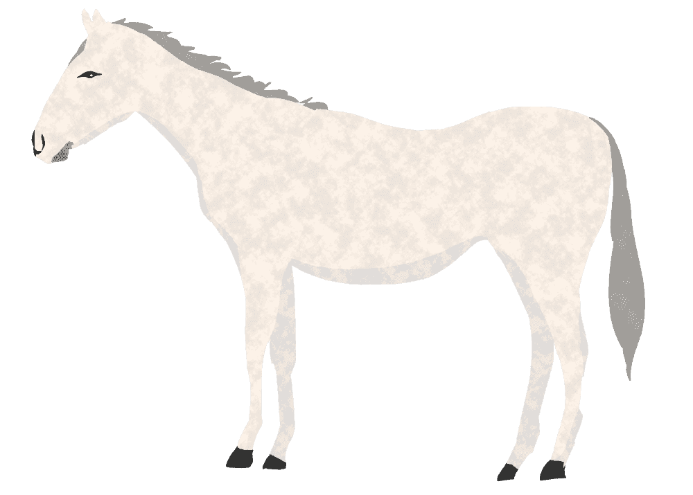 かっこいい カッコイイ 馬 イラスト詳細 8位