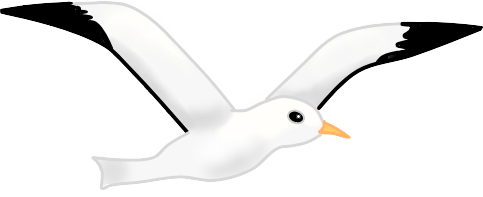 かもめ イラスト詳細 12位