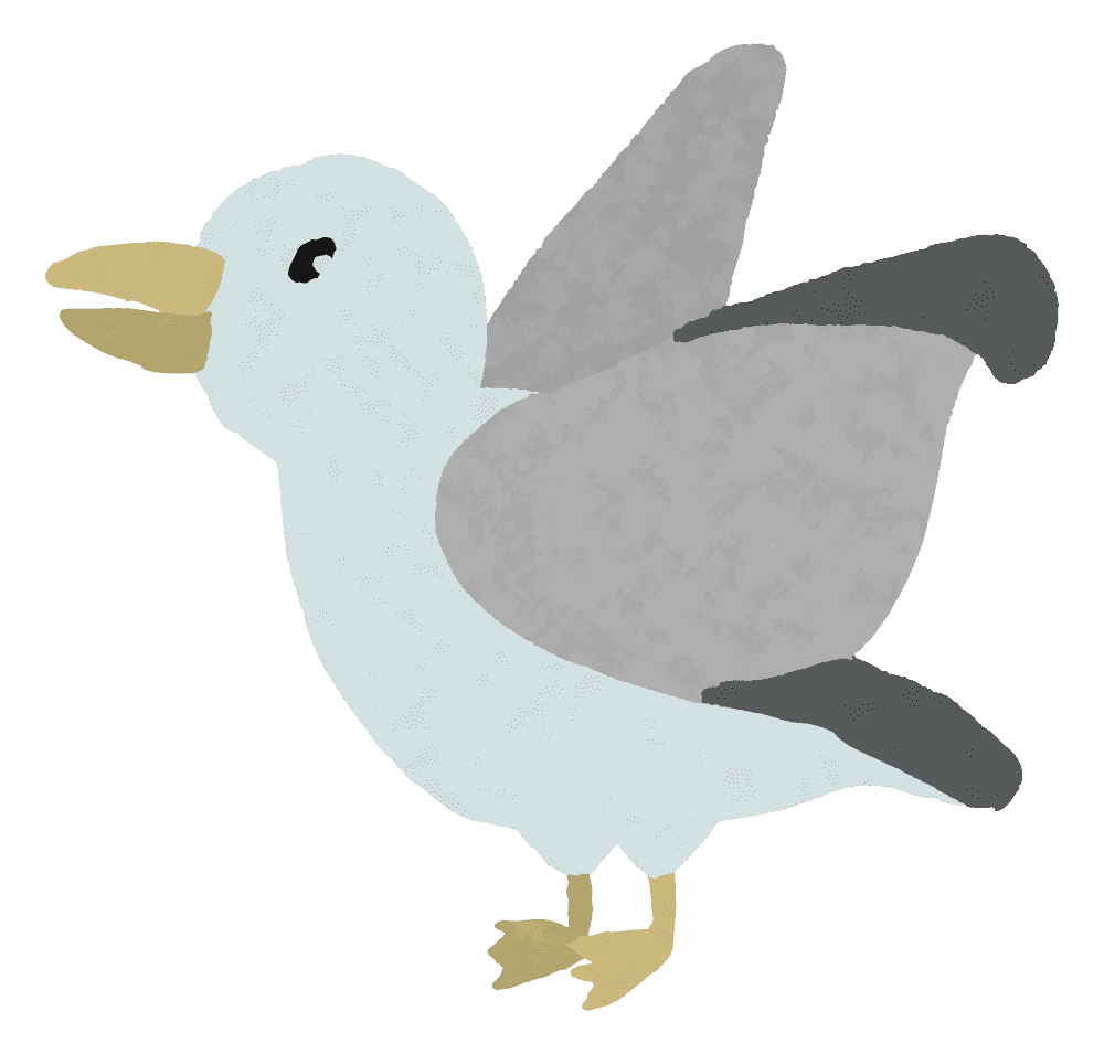 かもめ イラスト詳細 8位