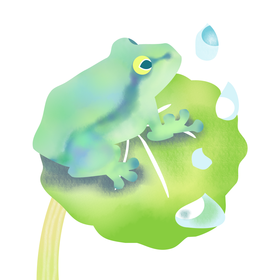 かわいい カエル イラスト詳細 8位