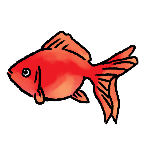 かわいい 金魚 イラスト詳細 7位