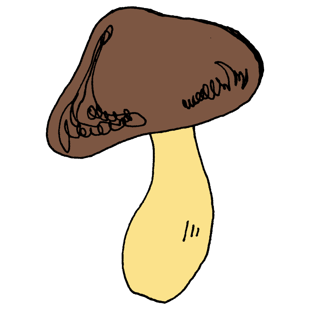 きのこ 可愛い イラスト詳細 10位