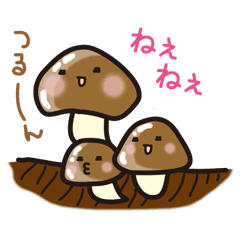 きのこ 王詳細 6位