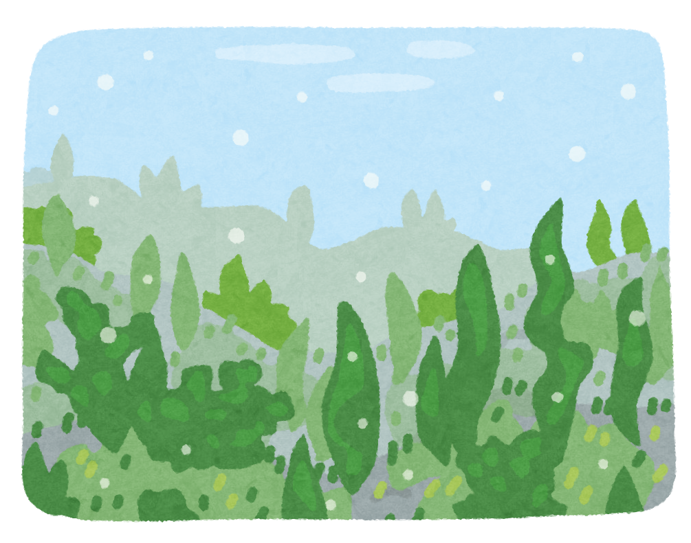 きれい 海 イラスト詳細 9位