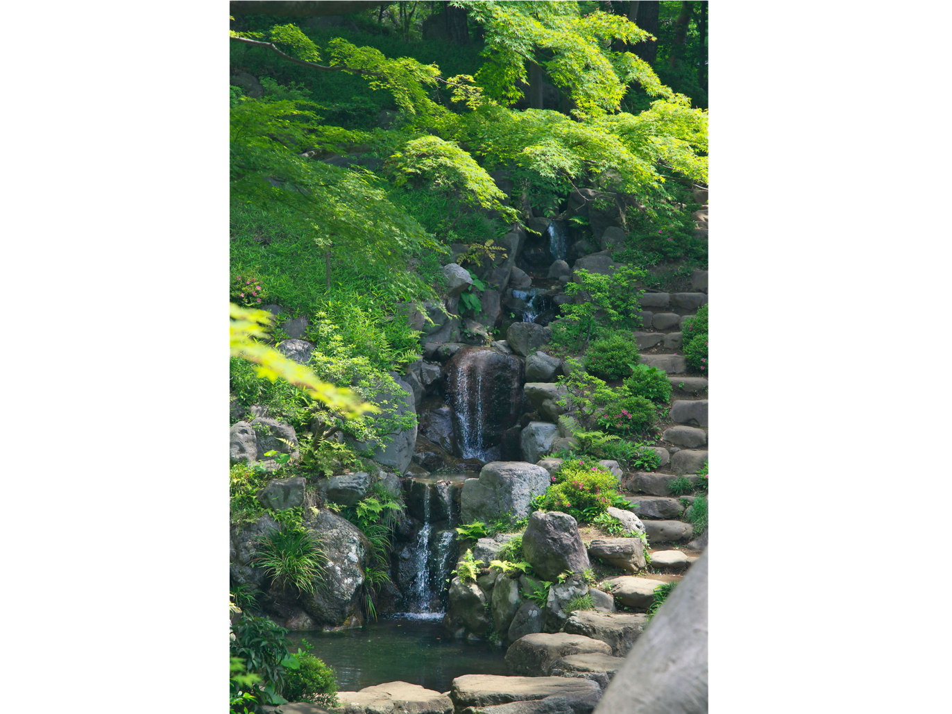 日本 庭園 画像詳細 4位