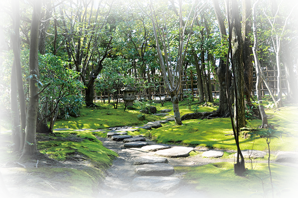 日本 庭園 画像詳細 5位