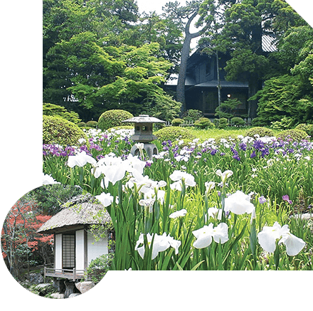 日本 庭園 画像詳細 6位