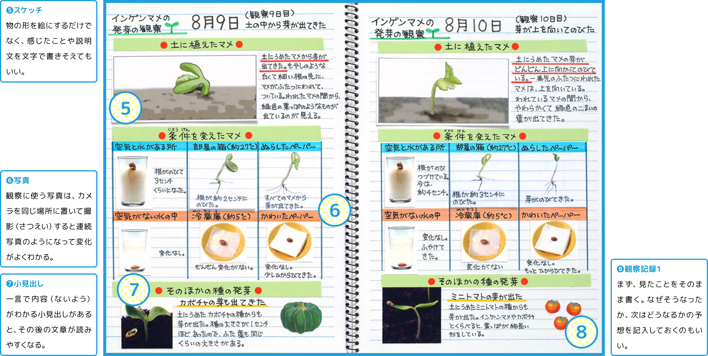 日記 テンプレート詳細 14位