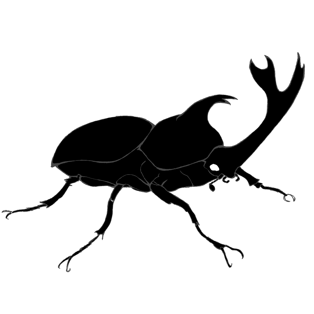 昆虫 イラスト 簡単詳細 8位