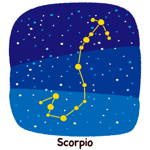 星座 画像詳細 13位