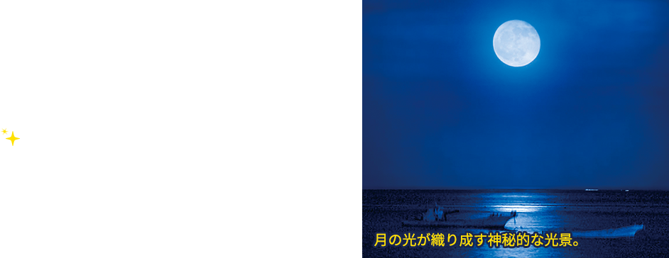 星空 壁紙 スマホ詳細 11位
