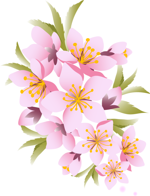 春 花 イラスト詳細 3位