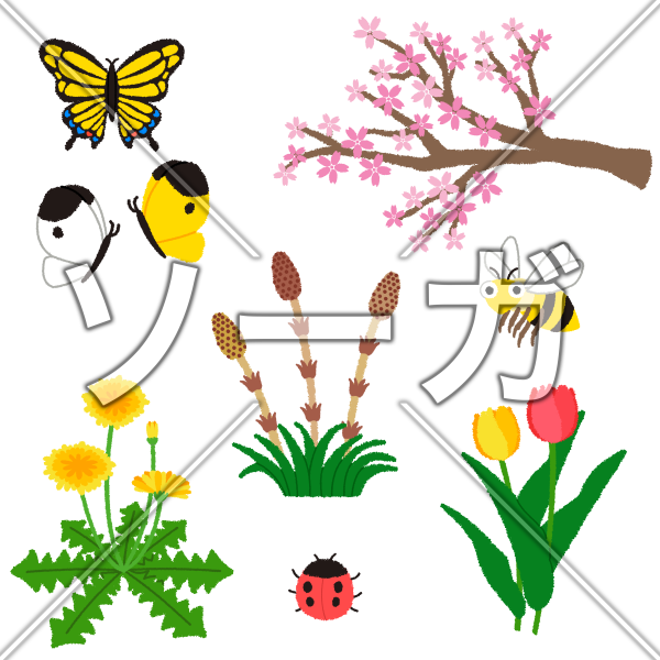 春の もの イラスト詳細 2位