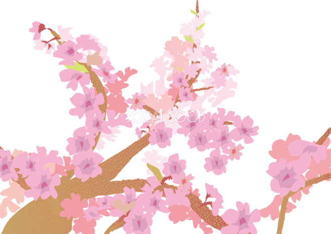 春の 背景詳細 6位