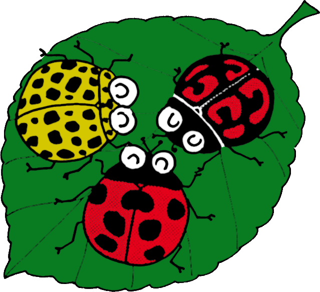春の 虫 イラスト詳細 4位