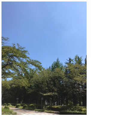 景色 綺麗 画像詳細 13位