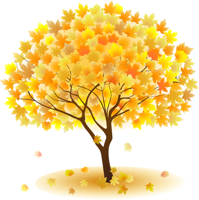 木 紅葉 イラスト - KibrisPDR