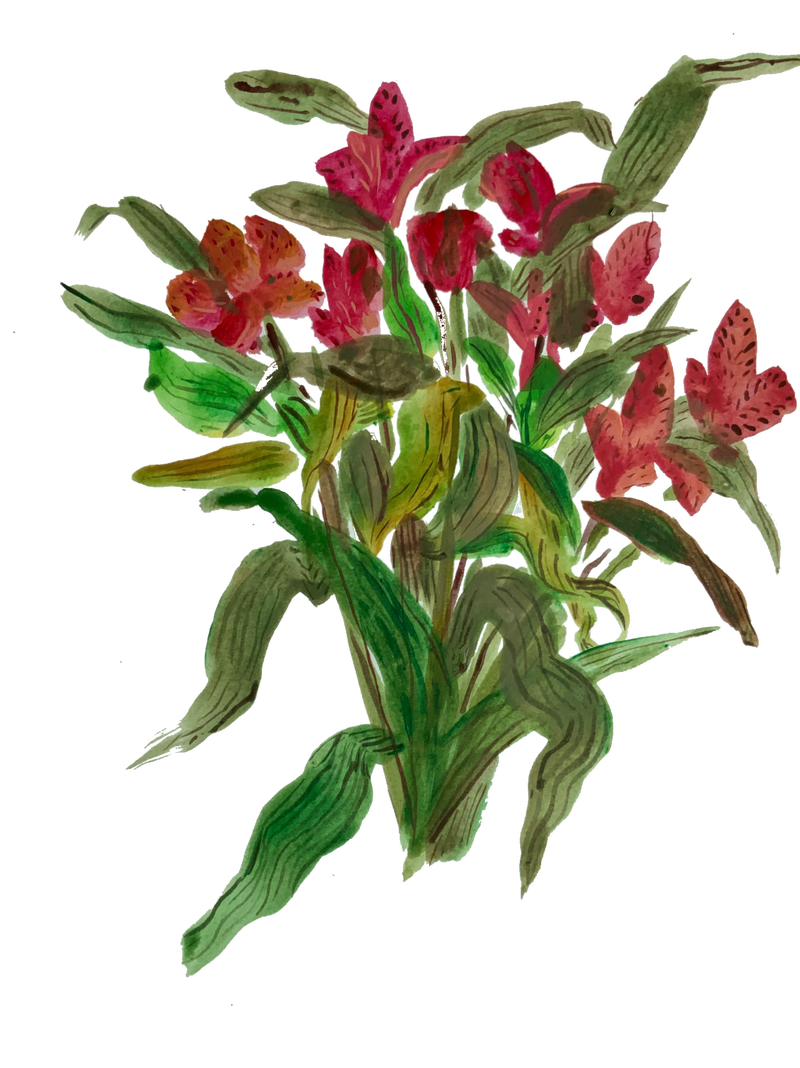 枯れ た 花 イラスト詳細 7位