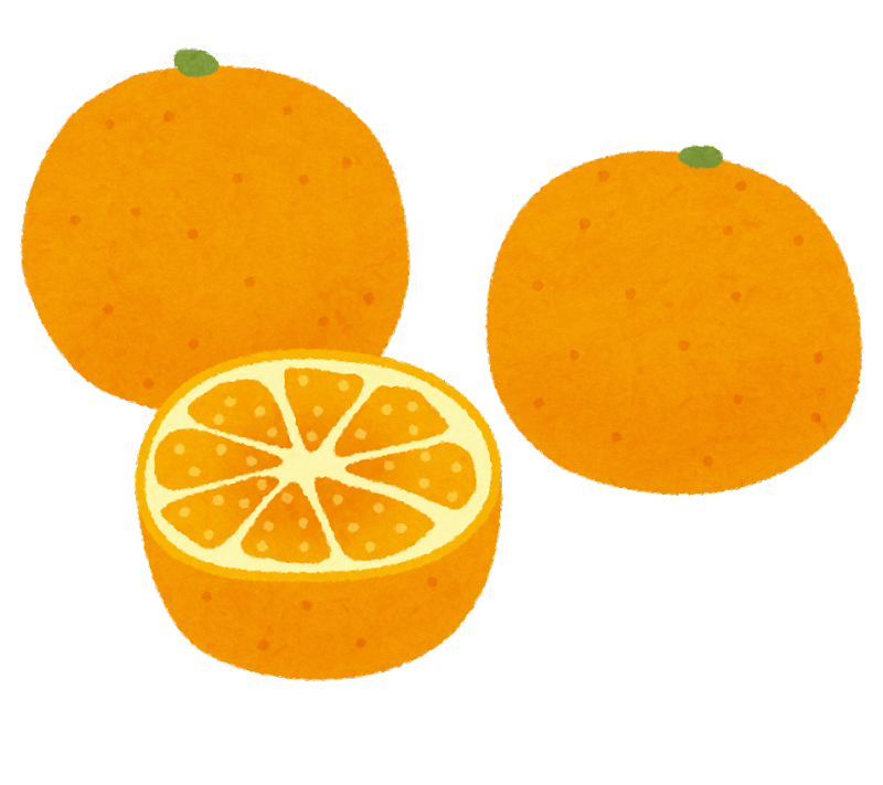 柑橘 イラスト - KibrisPDR