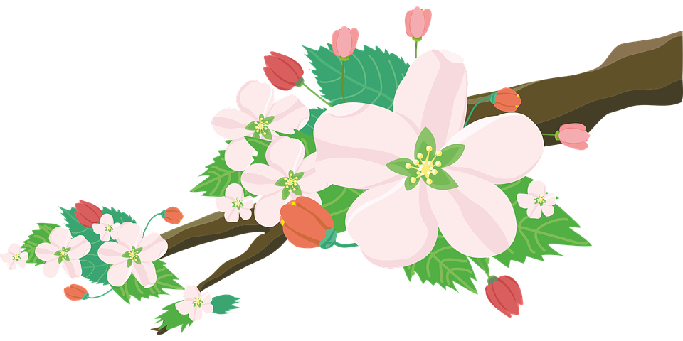 桃 の 木 イラスト詳細 7位