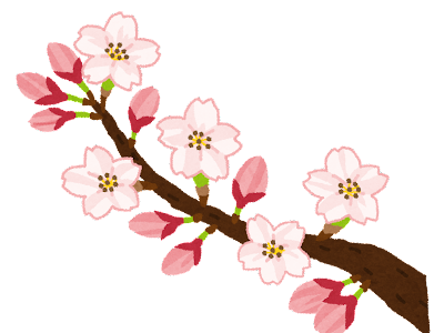 桜 つぼみ イラスト詳細 11位