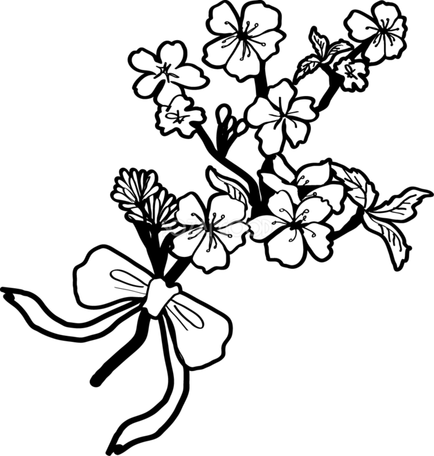 桜 イラスト フリー 白黒詳細 3位
